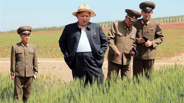 Severokorejsk vdce Kim ong-un se prochz po poli na sttn farm (2. ervna 2015).