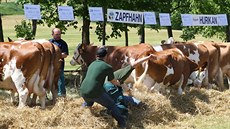 V Radeínské Svratce lo obas chovatelm i o zdraví.