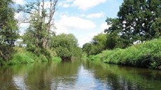 Festival Léto nad Lunicí se odehrává na nábeích a prostranstvích kolem známé...