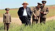 Severokorejský vdce Kim ong-un se prochází po poli na státní farm (2. ervna...