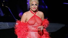 Lady Gaga (Vancouver, 26. května 2015) Lady Gaga (Vancouver, 26. května 2015)