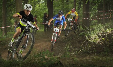 Souástí olympijských her dtí a mládee v Plzni byl i závod MTB cross country....