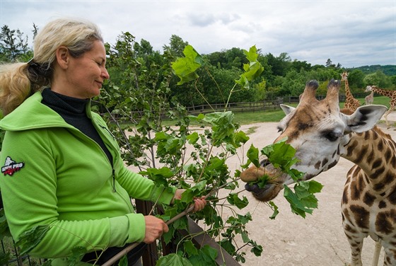 Od nedle si nov mohou návtvníci praské zoo zpestit návtvu, v e-shopu...