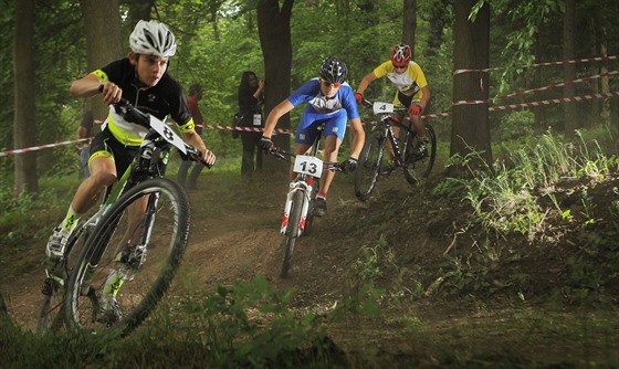 Souástí olympijských her dtí a mládee v Plzni byl i závod MTB cross country....