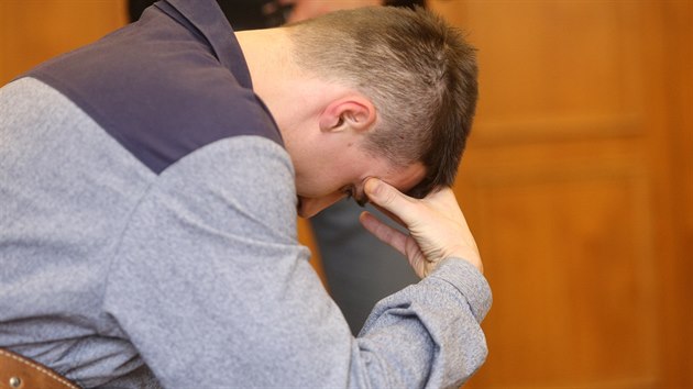 Josef Novk, kter loni v kvtnu zajel u Kostelce nad Labem na Mlnicku autem policistku, dostal za vradu trest 16,5 roku vzen (10. kvtna 2015).