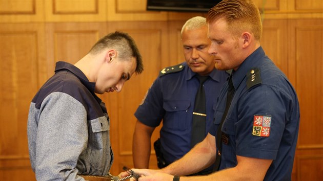 Josef Novk, kter loni v kvtnu zajel u Kostelce nad Labem na Mlnicku autem policistku, dostal za vradu trest 16,5 roku vzen (10. kvtna 2015).