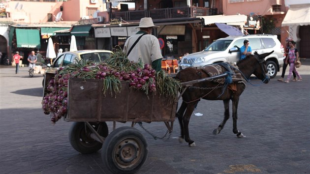 S cibul na trh. Oslci z marockch ulici jet nevymizeli.