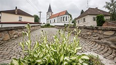 Jarošov se stal Vesnicí roku Jihočeského kraje. Jarošov se stal Vesnicí roku Jihočeského kraje.