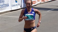 Run Tour Hradec Králové 13. června 2015 Run Tour Hradec Králové 13. června 2015