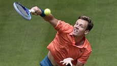 Tomá Berdych bhem tvrtfinále turnaje v Halle