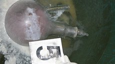 V bývalém výrobním podniku v Jaroměři se našly zbytky pěstírny marihuany, části... V bývalém výrobním podniku v Jaroměři se našly zbytky pěstírny marihuany, části...