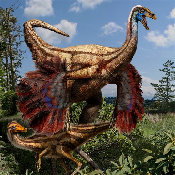Ochmýený severoamerický Ornithomimus edmontonicus, zástupce ornitomimid (tzv....
