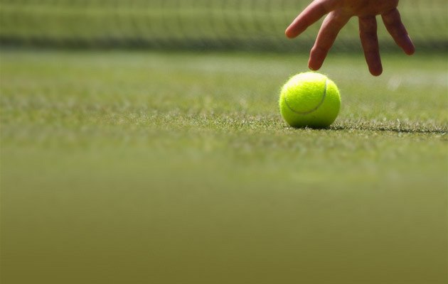 pozadí online wimbledon 2015 pozadí online wimbledon 2015