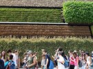 I když kombinace různých druhů obilí a třeba kukuřice, jako byla k vidění na... I když kombinace různých druhů obilí a třeba kukuřice, jako byla k vidění na...