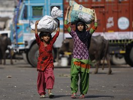 India Child Labor