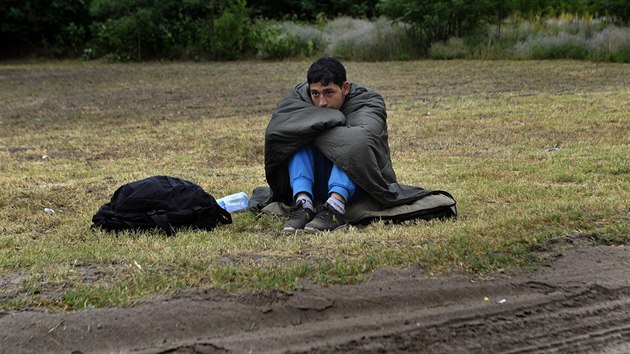 Ilegln migrant na srbsko-maarsk hranici (22. ervna 2015)