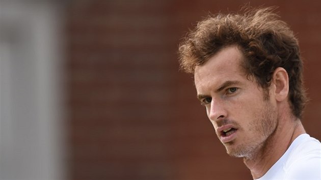 Andy Murray se raduje z povedenho deru ve finle turnaje v Londn.