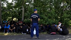 Iráčtí uprchlíci na hranicích Maďarska (23. června 2015) Iráčtí uprchlíci na hranicích Maďarska (23. června 2015)