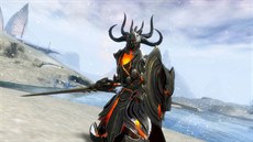 Guild Wars 2 Guild Wars 2