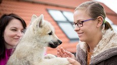 Táborská zoologická zahrada. Táborská zoologická zahrada.