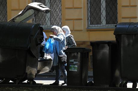 Arabové v anovském parku v Teplicích (2. ervence 2015)