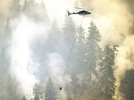 S rychle se íícím ohnm se potýká i stát Idaho na severozápad USA. Jeho...