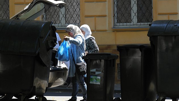 Arabov v anovskm parku v Teplicch (2. ervence 2015)