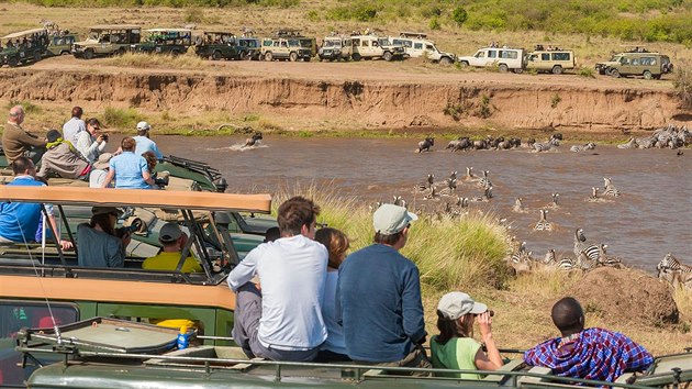 Nrodn rezervace Masai Mara na jihozpad Keni