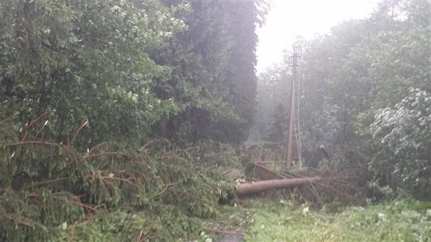 Siln bouka, kter v noci a rno prola Olomouckm krajem, polmala stovky strom a to pedevm na Olomoucku, umpersku a Jesenicku. Do ternu kvli tomu musely vyjet destky hasi.