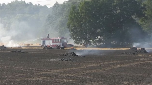 hasii likviduj por strnit v Petrovikch u Tnit nad Orlic.