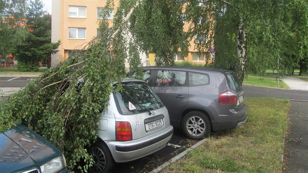 Kusy popadanch strom byly ve stedu rno k vidn na zem cel Karvin.