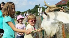 Zoo v Táboe-Vtrovech je znovu otevená.