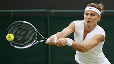 SNAHA. Lucie afáová v osmifinále Wimbledonu.