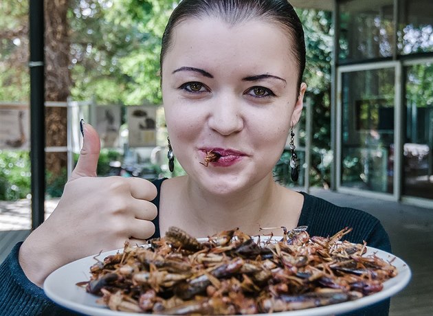 Erika Prokeová je vyhláenou hmyzí kuchakou.