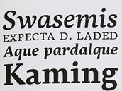 Ukzka z prce psmolijny Suitcase Type Foundry