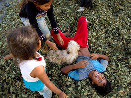 In this June 20, 2015 photo, kids play on a pile of coca leaves while helping...