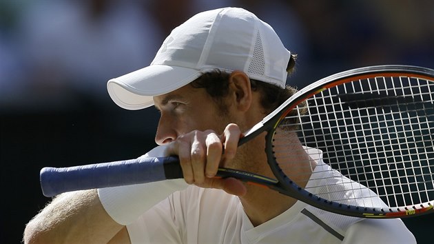 Andy Murray v semifinle Wimbledonu