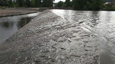 Řeka Berounka se u Zadní Třebaně dá přejít suchou nohou (14.7.2015) Řeka Berounka se u Zadní Třebaně dá přejít suchou nohou (14.7.2015)