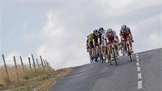 Peloton cyklistické Tour de France v 15. etapě Peloton cyklistické Tour de France v 15. etapě