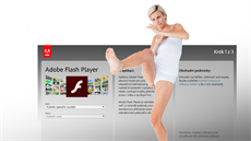 Podle některých odborníků by měl být Flash Player „vykopnut“ z on-line světa. Podle některých odborníků by měl být Flash Player „vykopnut“ z on-line světa.