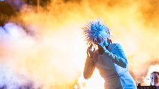 Colours of Ostrava 2015: Björk