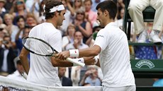 Roger Federer (vlevo) blahopeje Novaku Djokoviovi k triumfu ve Wimbledonu.