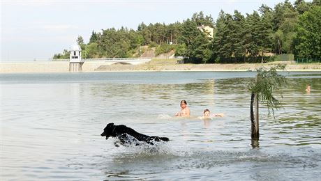 Zatímco v Plumlovské pehrad je vody dost i na koupání, z vysychající eky pod ní u museli rybái lovit ryby.