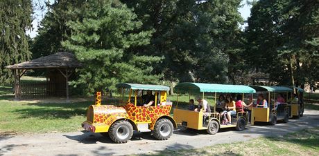 Uvnit areálu olomoucké zoo i kolem nj rostou stovky strom, pedevím smrk. V poslední dob ale porosty decimuje krovec, zahrada u jich kvli tomu musela ptinu vykácet.