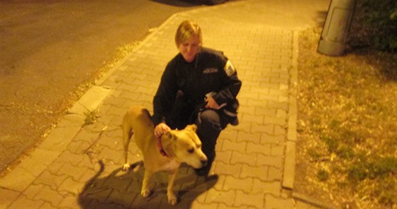 Mstská policistka si dvru psa získala takka okamit.
