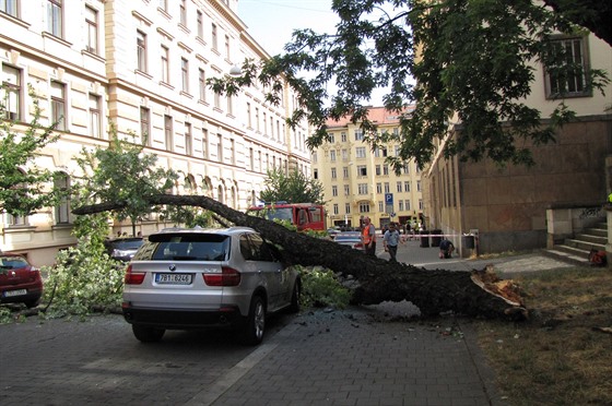 Vtev stromu zasáhla pt aut.