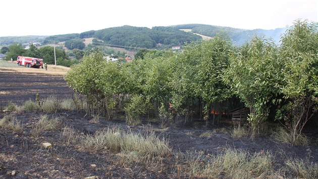 Hasii zasahuj proti poru pole u obce Beznice na Zlnsku (24. 7. 2015)