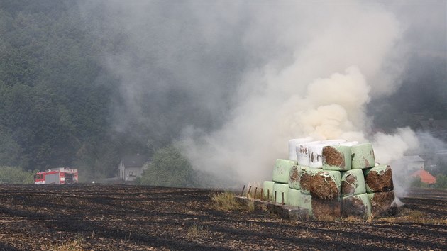 Hasii zasahuj proti poru pole u obce Beznice na Zlnsku (24. 7. 2015)