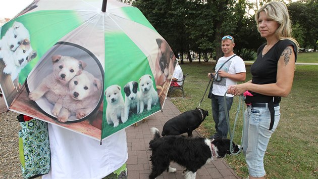 Hromadn venen ps v anovskm parku na protest proti arabsk klientele.