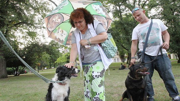 Hromadn venen ps v anovskm parku na protest proti arabsk klientele teplickch lzn.